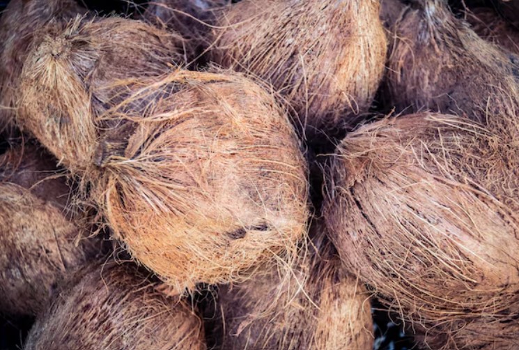 Husked Coconut