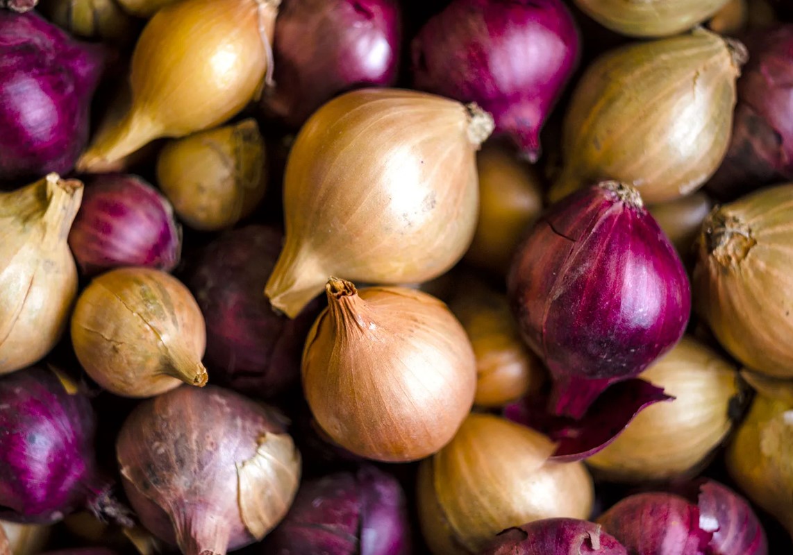 Onion