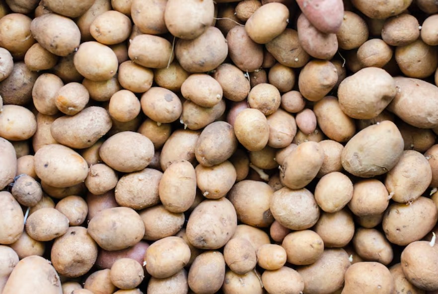 Potato